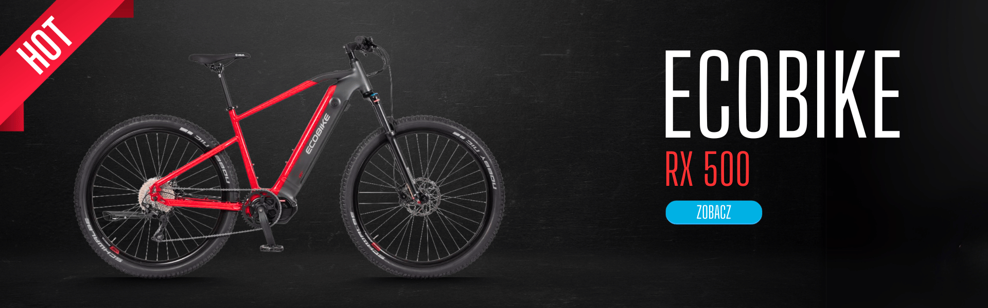 Ecobike RX 500