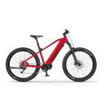 Rowery Elektryczne MTB Hardtail