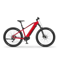 Rowery Elektryczne MTB Hardtail