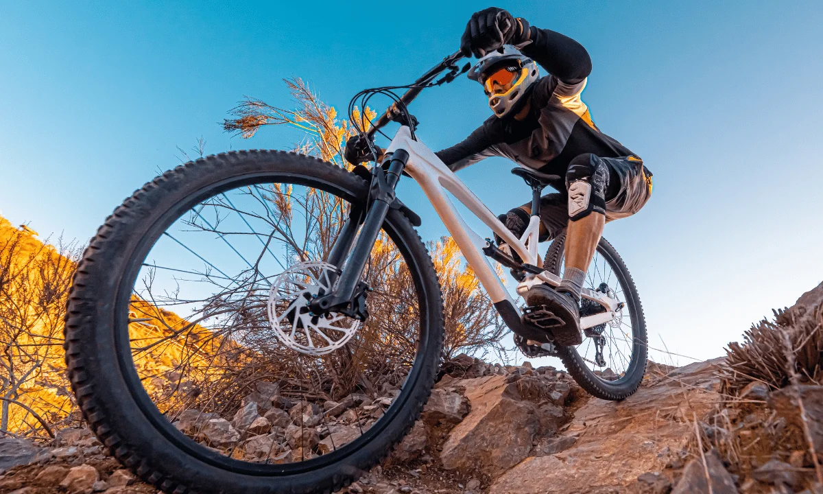 Rower premium – dlaczego warto zainwestować w karbon i wysokiej klasy osprzęt?