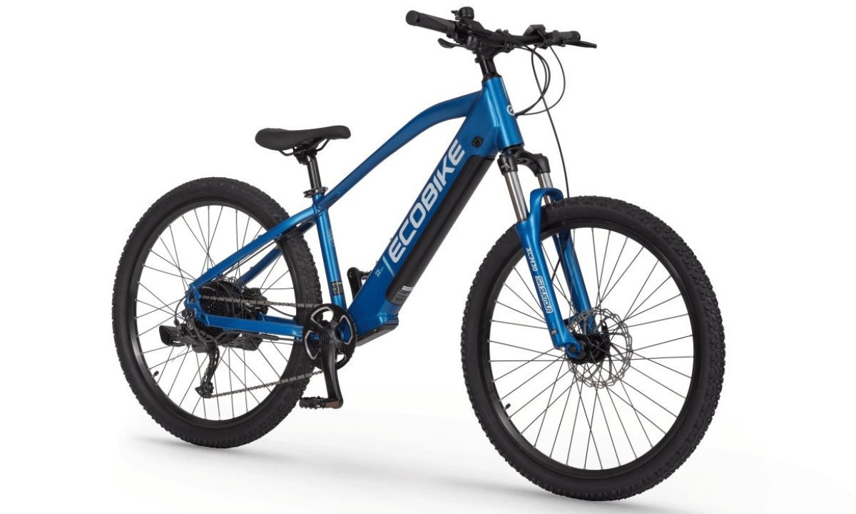 ecobike sx youth blue