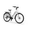 Rower Elektryczny Ecobike LX100 White