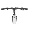 Rower Elektryczny Ecobike LX300 Biały Trekkingowy