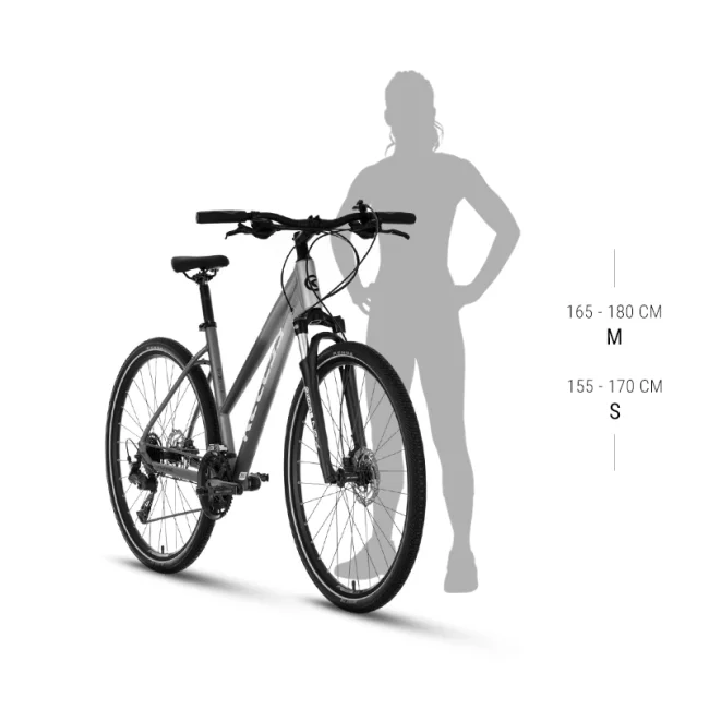 pheebe_20_white_2026