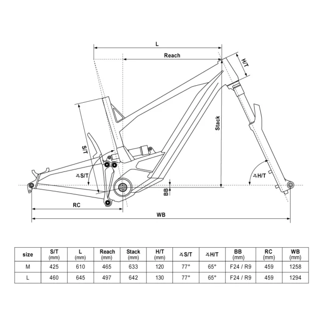 theos_rs30_night_forest_2026