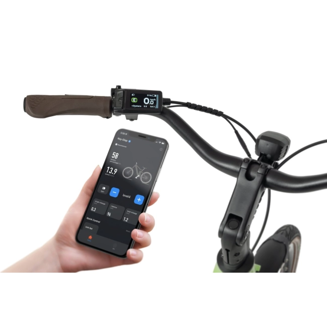 Rower Elektryczny Ecobike LX100 Automatic Green
