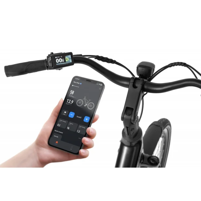 Rower Elektryczny Ecobike LX100 Black