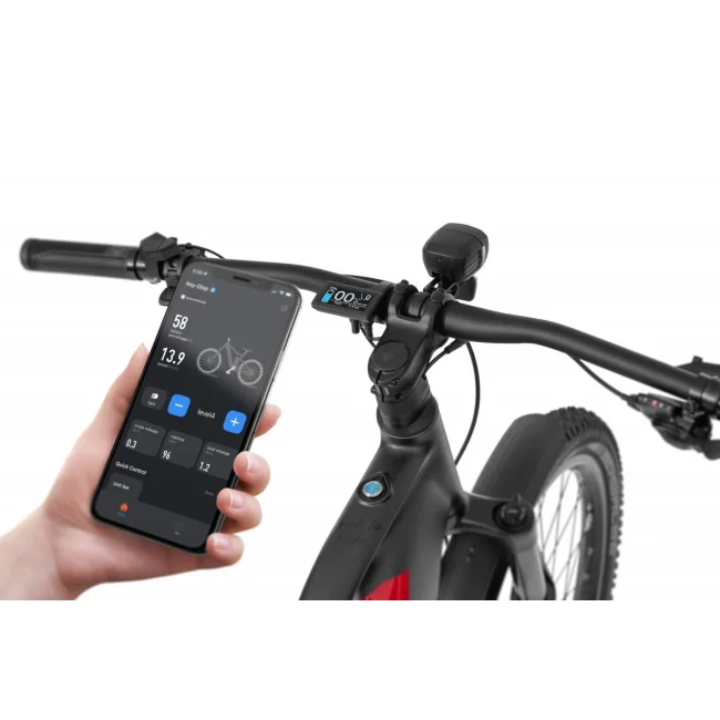 Rower Elektryczny Ecobike RX500 Red SUV Ananda