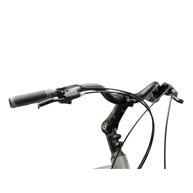 Rower Trekkingowy Kross Trans ULT.RA 3.0 Srebrny Holo