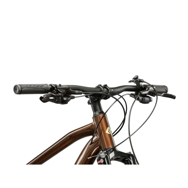 Rower MTB Kross Hexagon 5.0 Brązowo Złoty Połysk